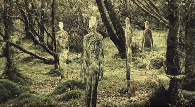 Entităţi stranii din altă lume surprinse în pădurile din Chile