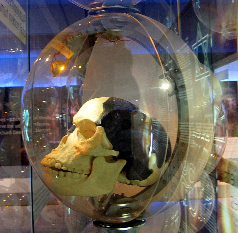 Replică a craniului omului din Piltdown. Autor foto Anrie,ianuarie 2010, sursă Wikipedia.